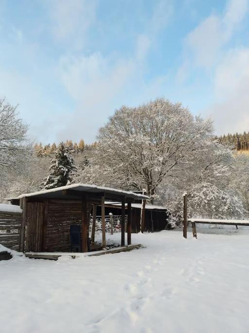 Charmante Maison De Caractere A 2Km De Redu Libin Exterior foto